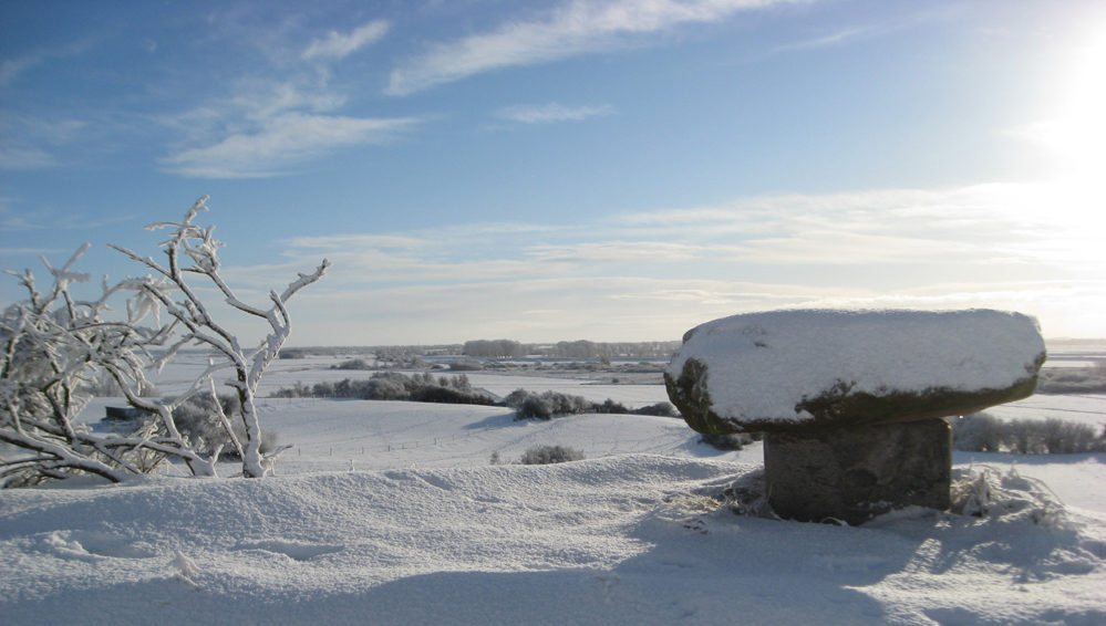 Stapeler Impressionen